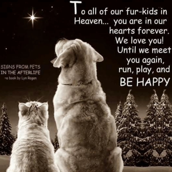 Hi I'm Maegan!! - Picture 11 of 11